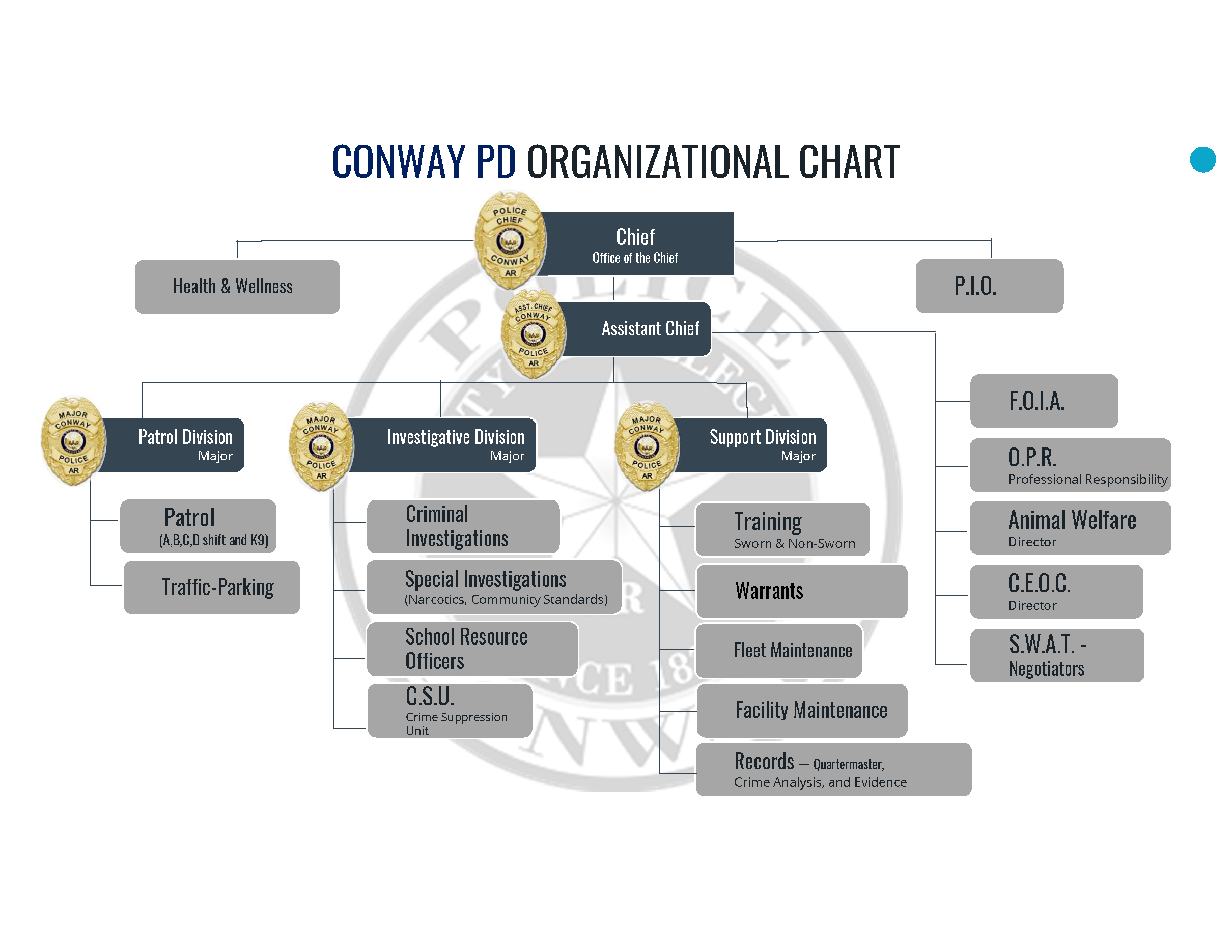 Conway Police Department Organizational Chart 04292024